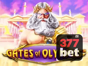 377BET APP mobile iOS Android - 187 mil downloads São Paulo Rio BH